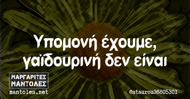 Αστεία memes, ατάκες, YOLO βίντεο, viral, αστεία video στο TikTok που ανέβηκαν στο διαδίκτυο και μας έκαναν να γελάσουμε.