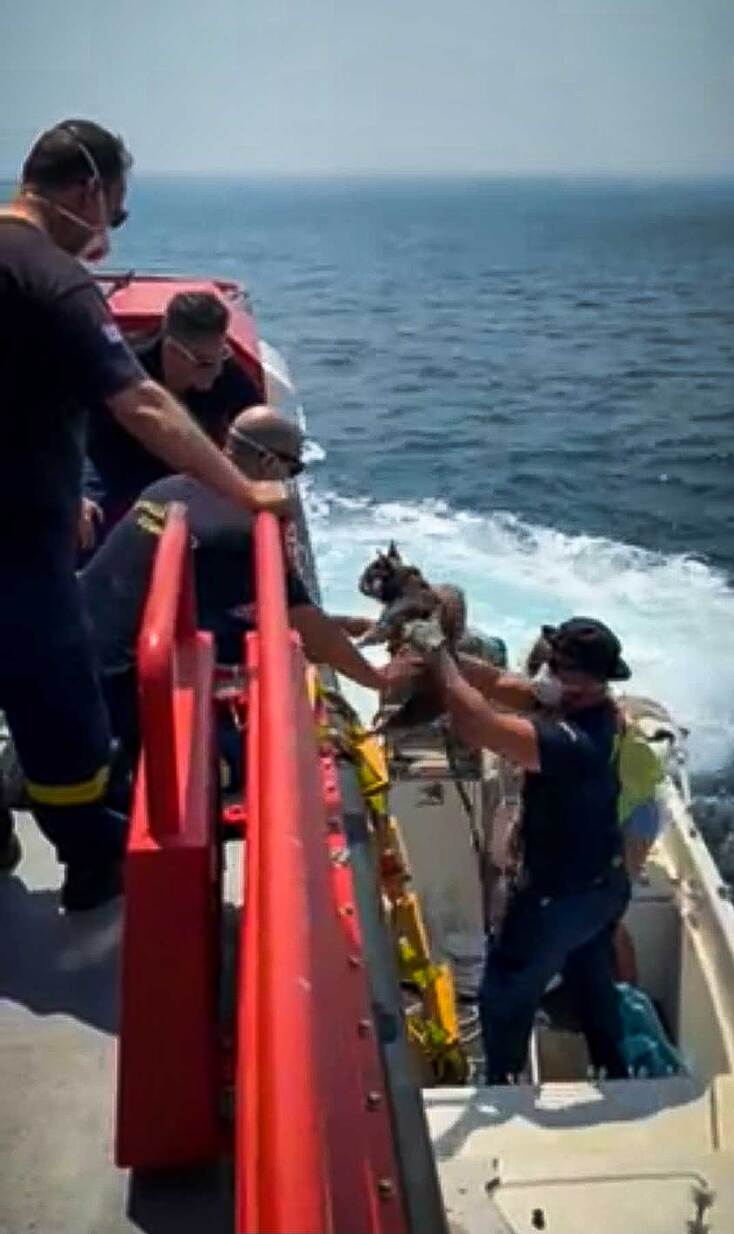 Πυροσβέστες απομακρύνουν με σκάφος κατοικίδιο στην παραλία του Αγίου Βασιλείου στη Βοιωτία