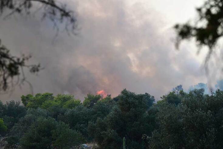 Φωτιά στο Ποικίλο Όρος κάνει στάχτη δέντρα