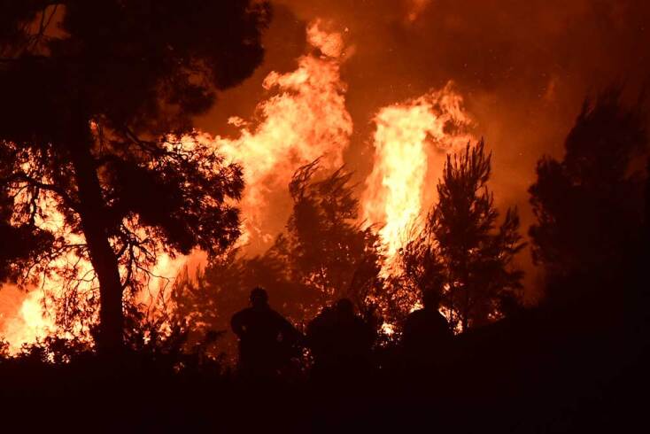 Η φωτιά στο Πόρτο Γερμενό κάνει στάχτη παρθένο δάσος