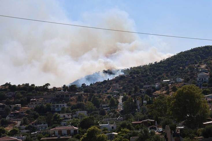 Η φωτιά στη Σαλαμίνα πλησιάζει απειλητικά κατοικίες