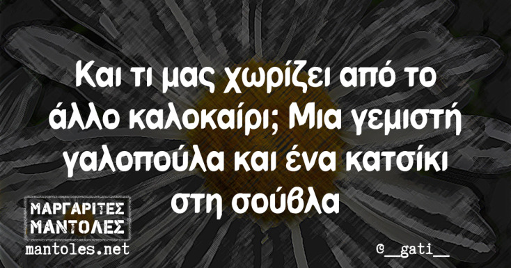 Αστεία memes, ατάκες, YOLO βίντεο, viral, αστεία video στο TikTok που ανέβηκαν στο διαδίκτυο και μας έκαναν να γελάσουμε.