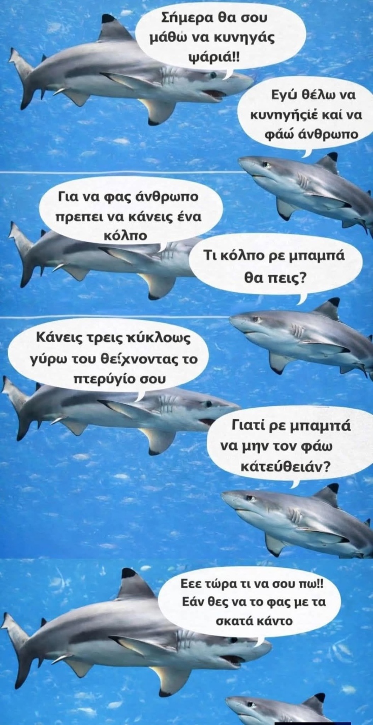 Αστεία memes, ατάκες, YOLO βίντεο, viral, αστεία video στο TikTok που ανέβηκαν στο διαδίκτυο και μας έκαναν να γελάσουμε.