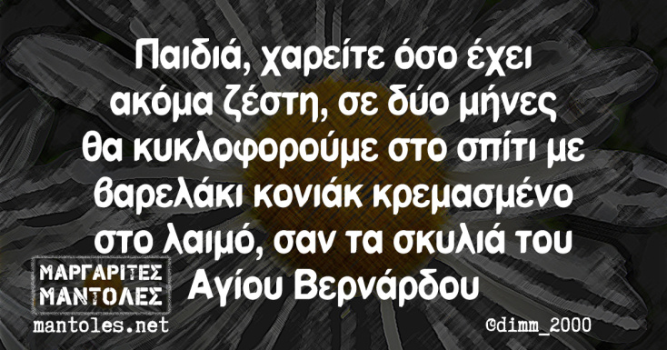 Αστεία memes, ατάκες, YOLO βίντεο, viral, αστεία video στο TikTok που ανέβηκαν στο διαδίκτυο και μας έκαναν να γελάσουμε.