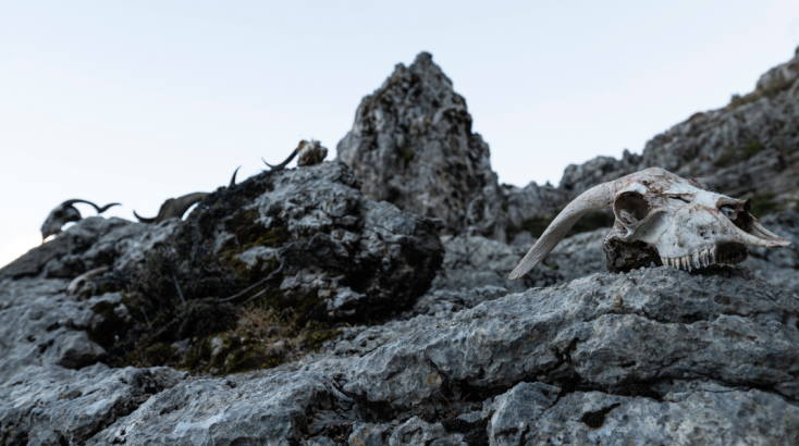 Η πολιτιστική αφύπνιση του σπηλαίου Ιδαίου Άντρου στον Ψηλορείτη