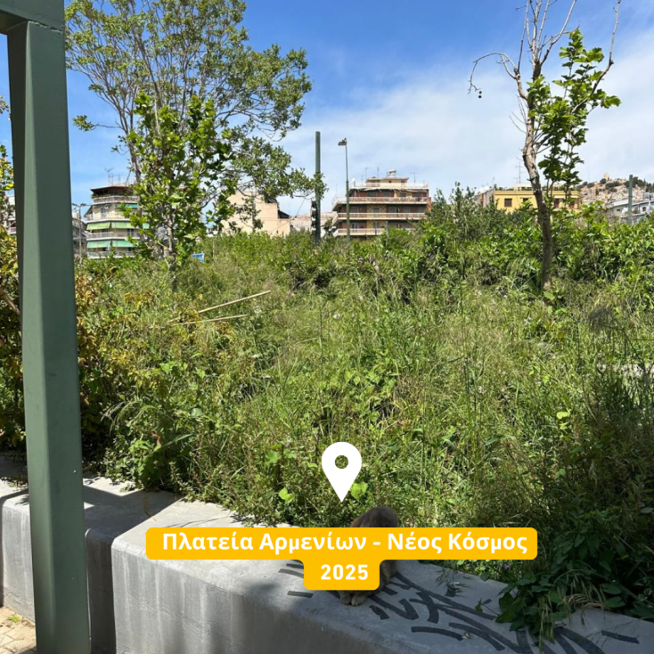 Παράταξη Μπακογιάννη: Εικόνες ντροπής στα πάρκα της Αθήνας  - Απογοητευτική η κατάσταση του πρασίνου