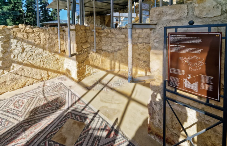 Σαγιοναρες