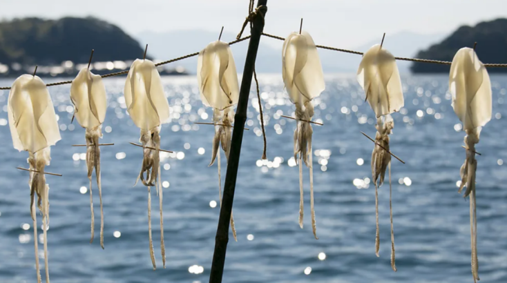 World Food Photography Awards