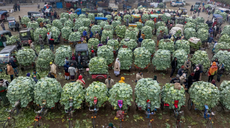World Food Photography Awards