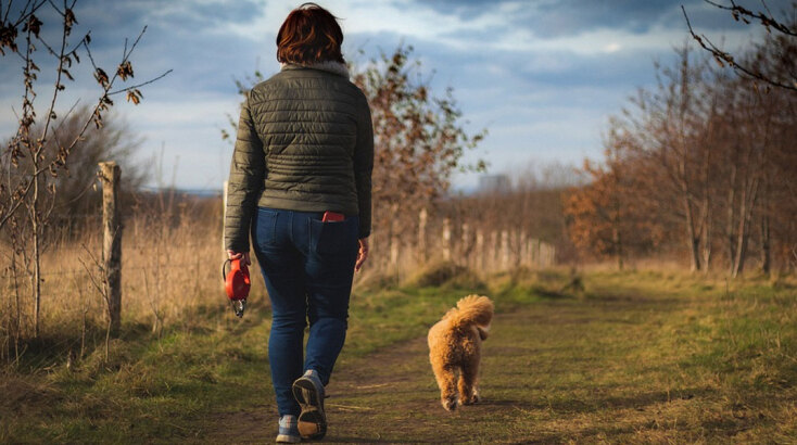 Ιταλία: Με ανάλυση DNA θα εντοπίζονται οι ιδιοκτήτες των σκύλων που αφήνουν τα περιττώματα των ζώων τους στον δρόμο