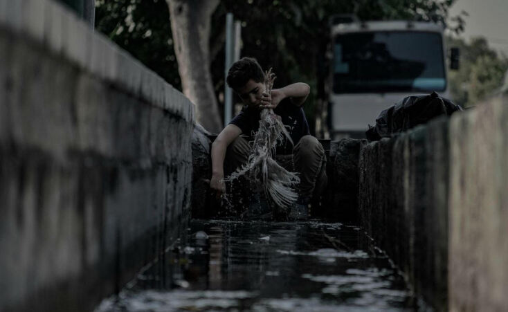 Daily Massacre in Tehran