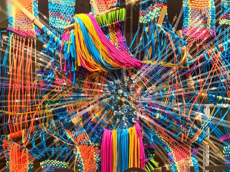 Paolita, "Undomesticated"