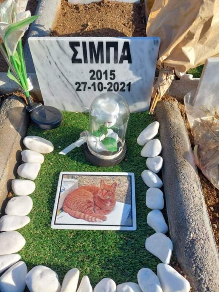 Νεκροταφείο μικρών ζώων στη Θεσσαλονίκη © ΑΠΕ-ΜΠΕ / Β. Ψυχογιός