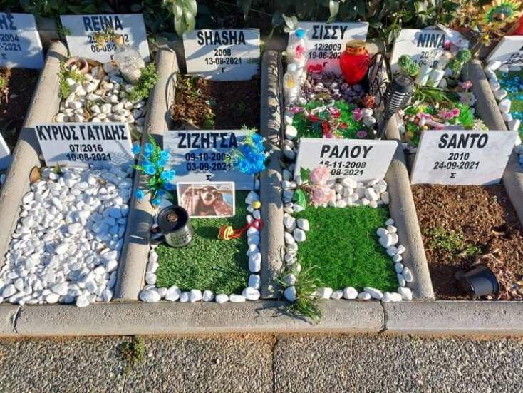 Νεκροταφείο μικρών ζώων στη Θεσσαλονίκη © ΑΠΕ-ΜΠΕ / Β. Ψυχογιός