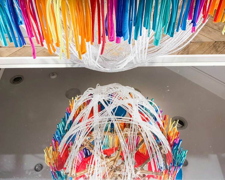 Paolita, Undomesticated