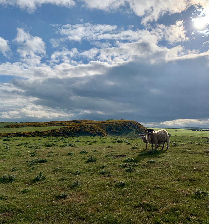 «Το αγροτικό ειδύλλιο», κομητεία Northumberland, βόρεια Αγγλία. 