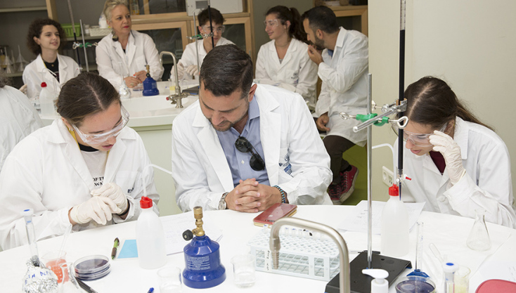 Lidl &amp; CTY Greece