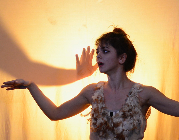 i farma tou diadiktiou Artion Galleries Artion Education