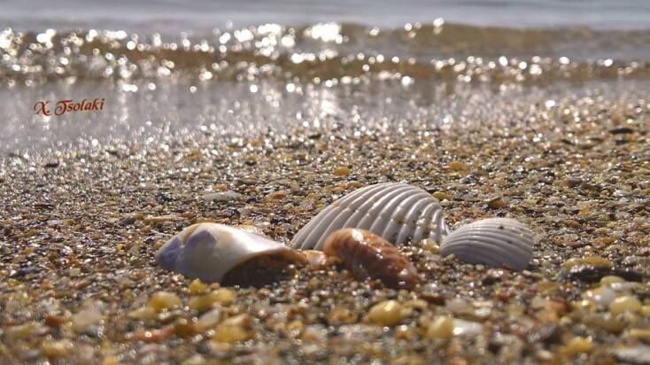 © Χρυσούλα Τσολάκη 