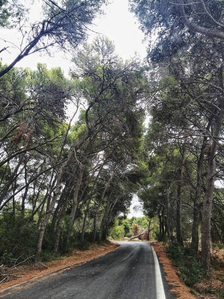 © Lampros Charalampopoulos / Αργοστόλι, Κεφαλονιά