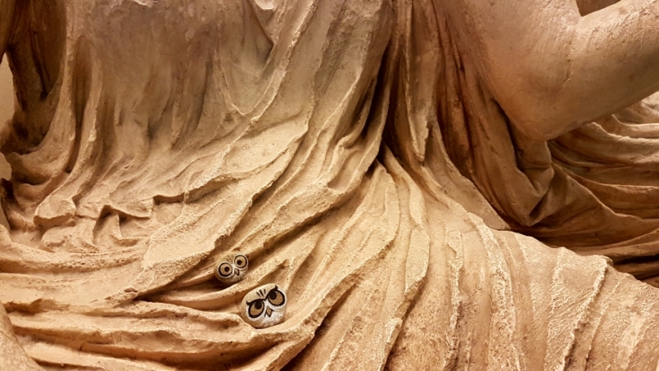 Οι κρυμμένες κουκουβάγιες της Αθήνας