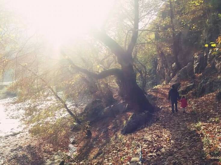 Maria Pliatsika / Πύλη Τρικάλων