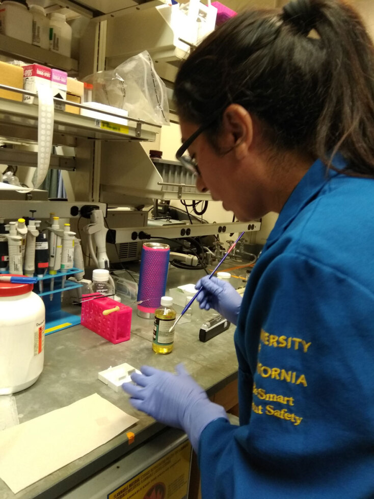 Όλγα Αλεξοπούλου, «Η Μπλε Ώρα», Μουσείο των Ηρακλειδών