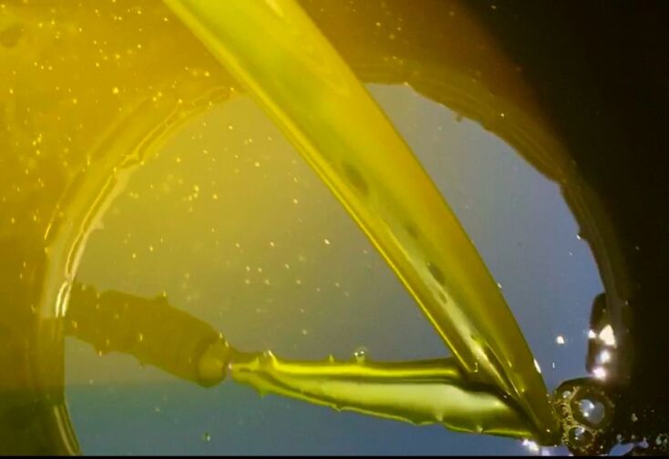 Μέσα στο ελαιοτριβείο του Χάρη Καπόλου