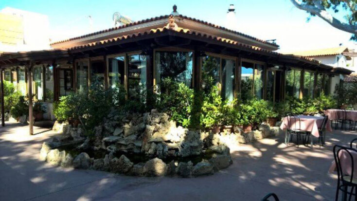 Τα Ευκάλυπτα