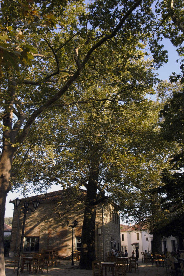 EUROKINISSI / ΚΩΣΤΑΣ ΜΑΚΡΥΔΗΜΑΣ  