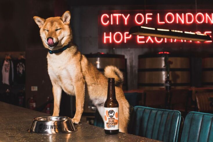 Σκύλος πίνει μπίρα