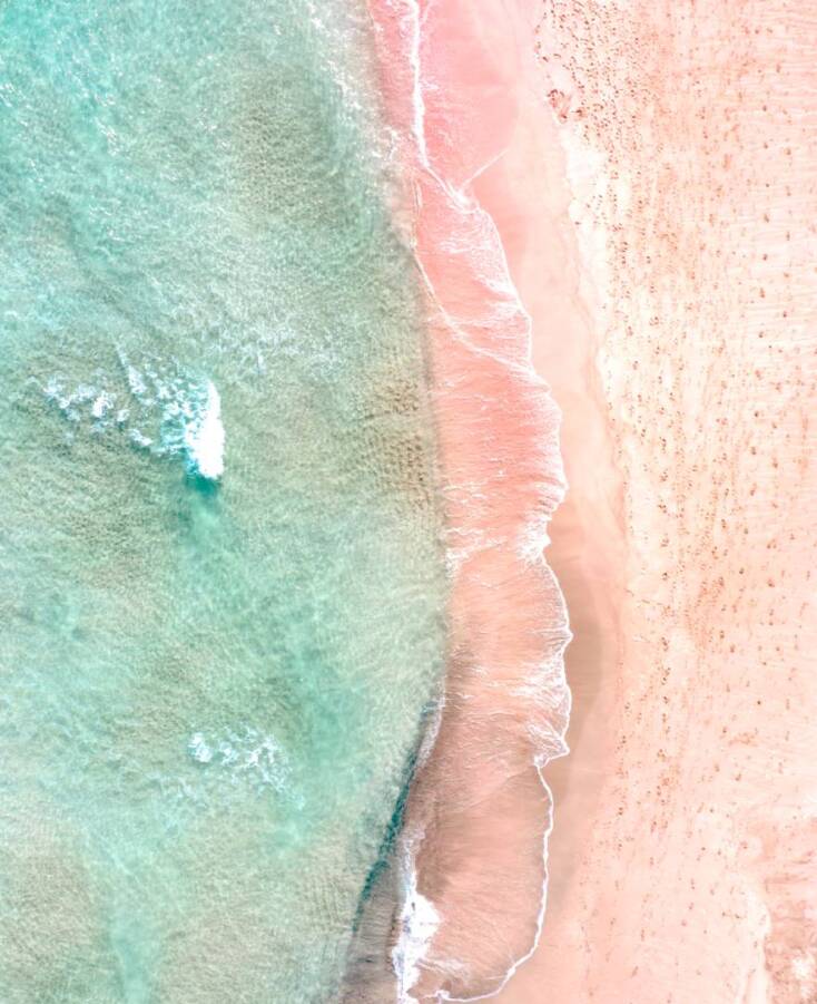 Δημήτρης Κλεάνθους