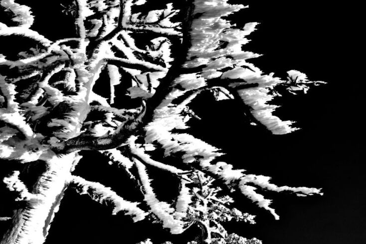 Ανήλιο - Βασιλίτσα