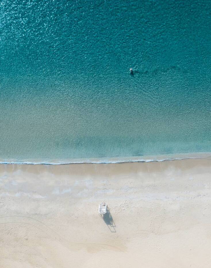 Δημήτρης Κλεάνθους