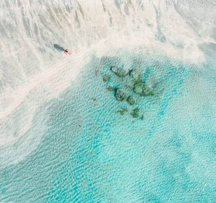 Δημήτρης Κλεάνθους