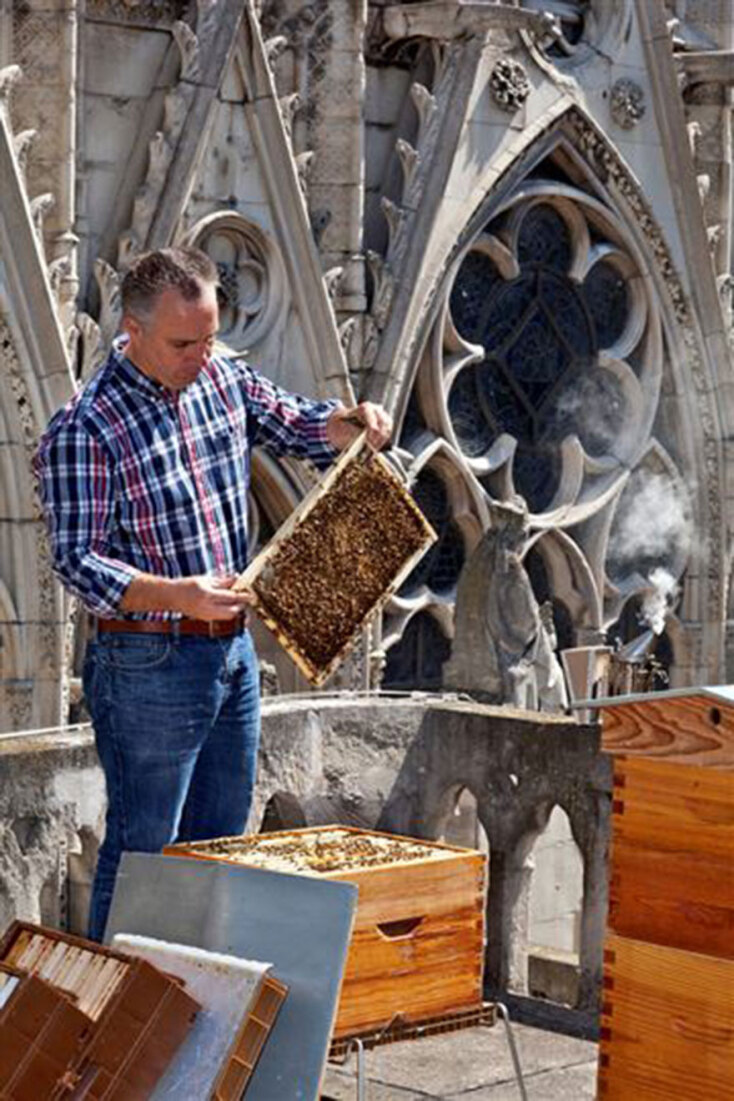190417-nicolas-geant-bees-notre-dame-1-ew-535p_cc2146ce1ef4519a46f597a3ebf01526.fit-360w.jpg