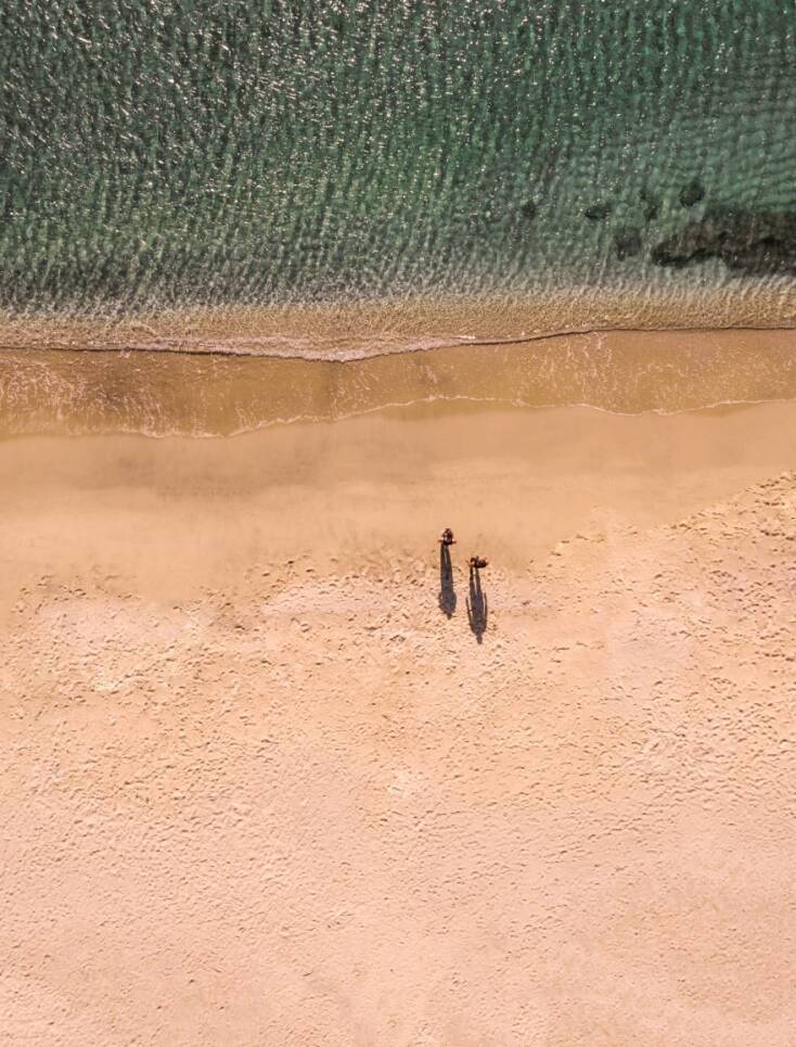 Δημήτρης Κλεάνθους