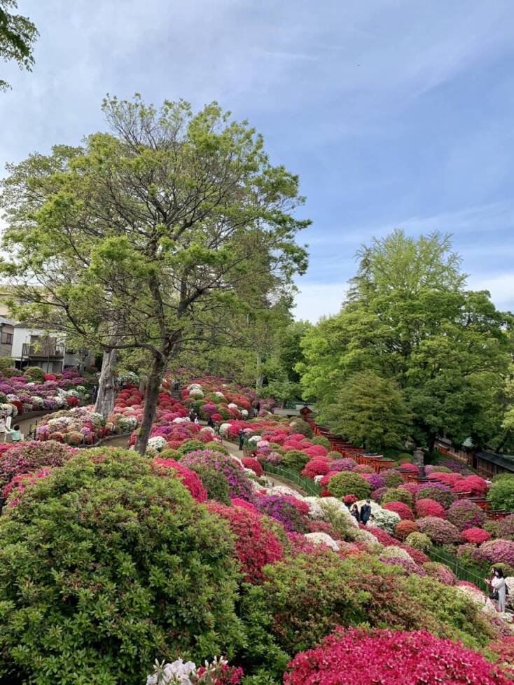 Σιντζούκου