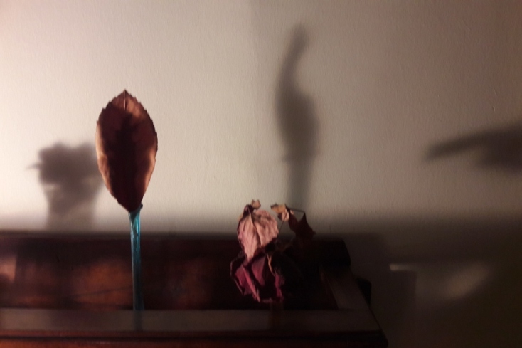 Ένη Κούκουλα «Κρυφός κήπος», Βιβλιοπωλείο – Αίθουσα Τέχνης Φωταγωγός