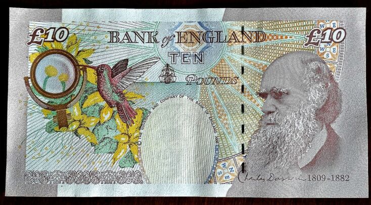 Charles Darwin banknote