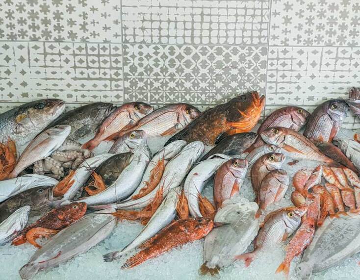 Ψαράκι στη σχάρα