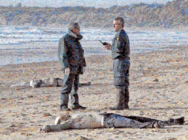 Symposium program for ever more images / Googlegrams: Immigrants © Joan Fontcuberta