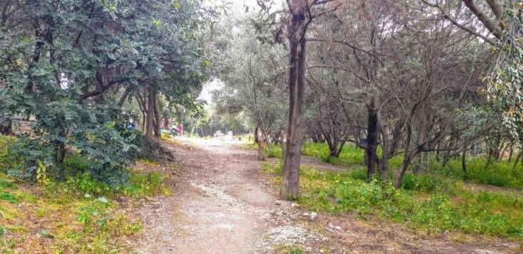 Φιλοπάππου