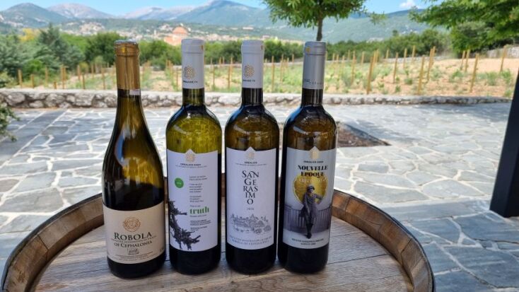 Τα κρασιά του Συνεταιρισμού Ρομπόλας Κεφαλληνίας, Ορεάλιος Γη