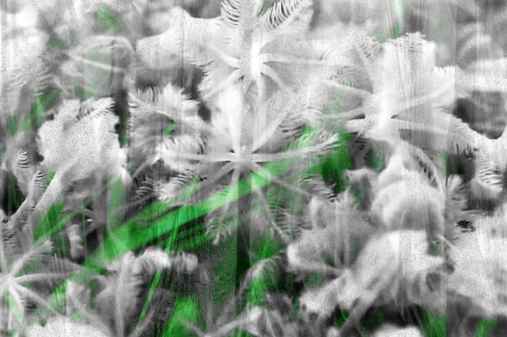 Έργο του Costas Picadas