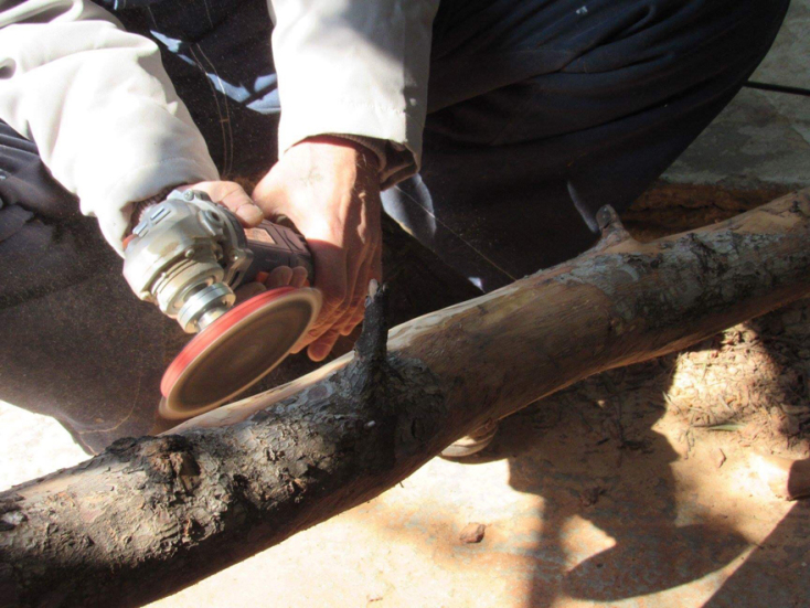 Μαριάννα Πούργαλη «23 δέντρα, μια ιστορία», Project Art 4 Mati