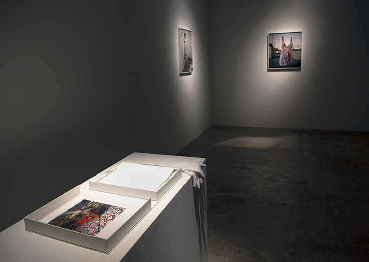 Λία Ναλμπαντίδου, «Αστικός Μυστικός Κήπος – Μια ανάγνωση» στο Κέντρο Σύγχρονης Τέχνης Ιλεάνα Τούντα