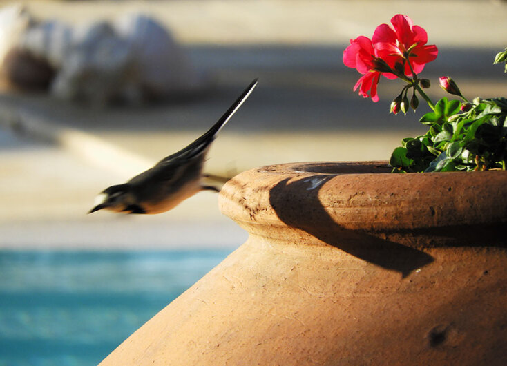 «Η Απογείωση» της Τώνιας Δραγούνη