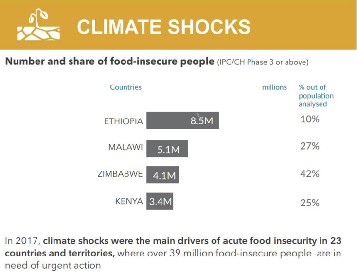Αιτίες λιμού - Κλιματικά πλήγματα