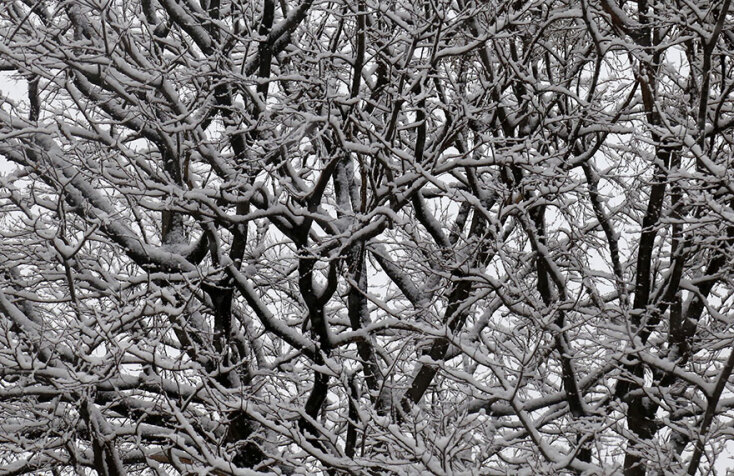 Θεσσαλονίκη